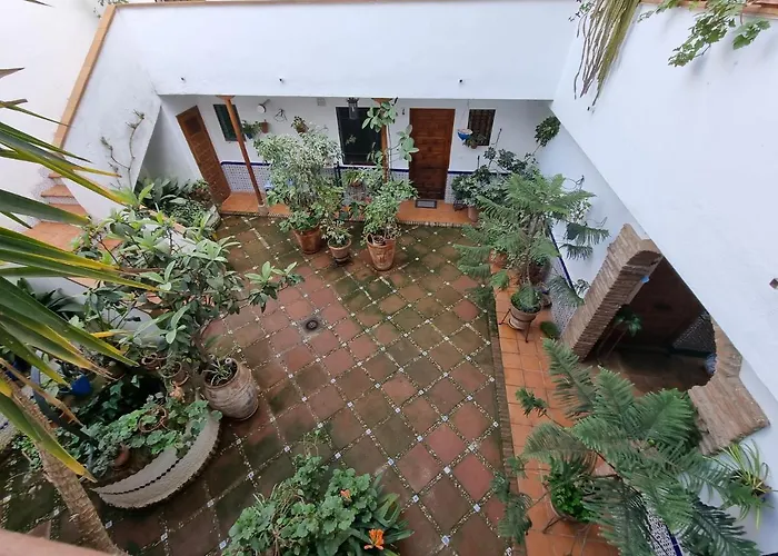 Apartamento De Estreno En Los Patios Tipicos De San Basilio